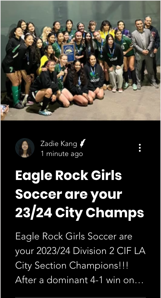 girls soccer champions!