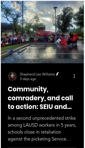 Article on the SEIU Strike
